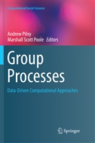 Andre Pilny, Andrew Pilny, Marshall Scott Poole, Scott Poole, Scott Poole - Group Processes