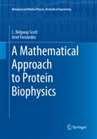 Ariel Fernández, L Ridgwa Scott, L Ridgway Scott, L. Ridgway Scott - A Mathematical Approach to Protein Biophysics
