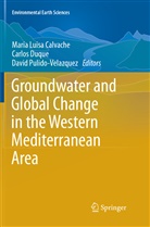 Maria Luisa Calvache, Carlo Duque, Carlos Duque, David Pulido-Velazquez - Groundwater and Global Change in the Western Mediterranean Area