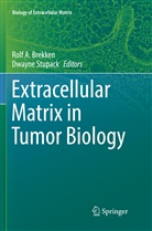 Rol A Brekken, Rolf A Brekken, Rolf A. Brekken, Stupack, Stupack, Dwayne Stupack - Extracellular Matrix in Tumor Biology