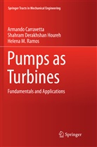Armand Carravetta, Armando Carravetta, Shahra Derakhshan Houreh, Shahram Derakhshan Houreh, Ram, Helena M. Ramos - Pumps as Turbines