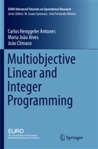 Maria Joa Alves, Maria Joao Alves, Climac, Joao Climaco, Carlo Henggeler Antunes, Carlos Henggeler Antunes - Multiobjective Linear and Integer Programming
