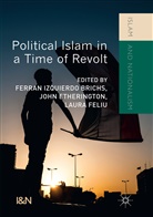 Joh Etherington, John Etherington, Laura Feliu, Ferran Izquierdo Brichs - Political Islam in a Time of Revolt