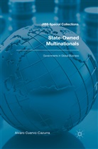 Alvar Cuervo-Cazurra, Alvaro Cuervo-Cazurra - State-Owned Multinationals