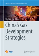 Shell Centre, Development Research Cent, Development Research Center (DRC, Development Research Center DRC, Shel International B V, Shell International B V... - China's Gas Development Strategies