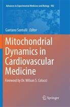 Gaetan Santulli, Gaetano Santulli - Mitochondrial Dynamics in Cardiovascular Medicine