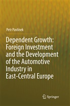 Petr Pavlínek - Dependent Growth: Foreign Investment and the Development of the Automotive Industry in East-Central Europe