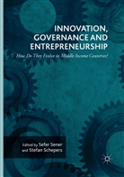 Schepers, Schepers, Stefan Schepers, Sefe Sener, Sefer Sener - Innovation, Governance and Entrepreneurship: How Do They Evolve in Middle Income Countries?