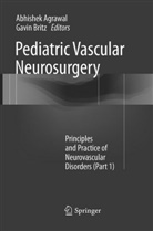 Abhishe Agrawal, Abhishek Agrawal, Britz, Britz, Gavin Britz - Pediatric Vascular Neurosurgery