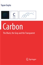 Tapan Gupta - Carbon