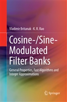 Vladimi Britanak, Vladimir Britanak, K R Rao, K. R. Rao - Cosine-/Sine-Modulated Filter Banks