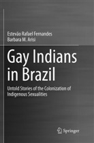 Barbara M Arisi, Barbara M. Arisi, Estevão Rafae Fernandes, Estevão Rafael Fernandes - Gay Indians in Brazil