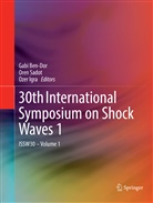 Gabi Ben-Dor, Ozer Igra, Ore Sadot, Oren Sadot - 30th International Symposium on Shock Waves 1