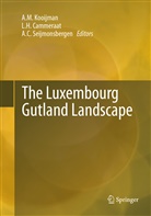 A C Seijmonsbergen, L. H. Cammeraat, L.H. Cammeraat, H Cammeraat, L H Cammeraat, A. M. Kooijman... - The Luxembourg Gutland Landscape