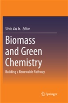 Sílvio Vaz, Sílvi Vaz Jr, Sílvio Vaz Jr, Sílvio Vaz Jr. - Biomass and Green Chemistry