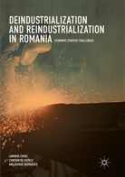 Lumini a Chivu, Lumini? Chivu, Lumini?a Chivu, Lumini¿a Chivu, Luminia Chivu, Luminita Chivu... - Deindustrialization and Reindustrialization in Romania