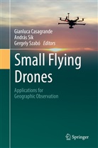 Gianluca Casagrande, Andrá Sik, András Sik, Gergely Szabó - Small Flying Drones
