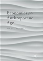 Adolfo Figueroa - Economics of the Anthropocene Age