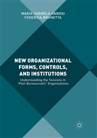Maria Carmel Annosi, Maria Carmela Annosi, Federica Brunetta - New Organizational Forms, Controls, and Institutions