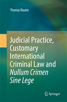 Thomas Rauter - Judicial Practice, Customary International Criminal Law and Nullum Crimen Sine Lege