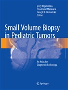 Henryk A Domanski, Henryk A Domanski, Jerzy Klijanienko, ¿Iva Pohar Marin¿ek, Ziv Pohar Marinsek, Ziva Pohar Marinsek... - Small Volume Biopsy in Pediatric Tumors