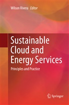 Wilso Rivera, Wilson Rivera - Sustainable Cloud and Energy Services