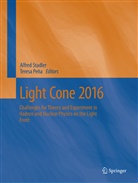 Peña, Peña, Teresa Peña, Alfre Stadler, Alfred Stadler - Light Cone 2016