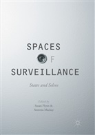 Susa Flynn, Susan Flynn, Mackay, Mackay, Antonia Mackay - Spaces of Surveillance