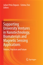 Julia Peña Dopazo, Julian Peña Dopazo, Zivic, Zivic, Fatima Zivic - Supporting University Ventures in Nanotechnology, Biomaterials and Magnetic Sensing Applications