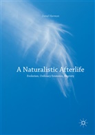 David Harmon - A Naturalistic Afterlife