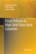 Antonell Cavallo, Antonella Cavallo, Pietr Dallari, Pietro Dallari, Antonio Ribba - Fiscal Policies in High Debt Euro-Area Countries