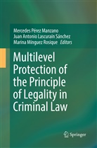 Jua Antonio Lascuraín Sánchez, Juan Antonio Lascuraín Sánchez, Juan Antonio Lascuraín Sánchez, M Mínguez Rosique, Marina Mínguez Rosique, Mercedes Pérez Manzano - Multilevel Protection of the Principle of Legality in Criminal Law