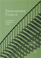 Nicholas Biekpe, Dann Cassimon, Danny Cassimon, Andrew William Mullineux, Andrew William Mullineux - Development Finance