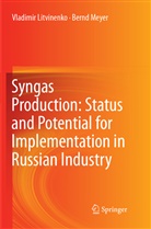 Vladimi Litvinenko, Vladimir Litvinenko, Bernd Meyer - Syngas Production: Status and Potential for Implementation in Russian Industry