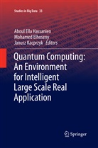 Mohame Elhoseny, Mohamed Elhoseny, Aboul Ella Hassanien, Janusz Kacprzyk - Quantum Computing:An Environment for Intelligent Large Scale Real Application