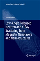 Amitesh Paul - Low-Angle Polarized Neutron and X-Ray Scattering from Magnetic Nanolayers and Nanostructures