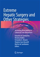 Fernando A Alvarez et al, Fernando A. Alvarez, Victori Ardiles, Victoria Ardiles, Virginia Cano Busnelli, Eduardo de Santibañes... - Extreme Hepatic Surgery and Other Strategies