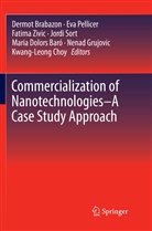 Dermot Brabazon, Kwang-Leong Choy, Maria Dolors Baró, Nenad Grujovic, Ev Pellicer, Eva Pellicer... - Commercialization of Nanotechnologies-A Case Study Approach