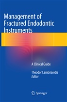 Theodo Lambrianidis, Theodor Lambrianidis - Management of Fractured Endodontic Instruments