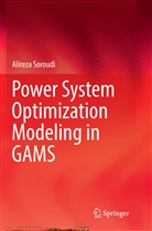 Alireza Soroudi - Power System Optimization Modeling in GAMS