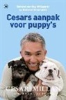 Cesar Millan - Cesars aanpak voor puppy's