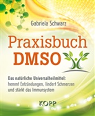 Gabriela Schwarz - Praxisbuch DMSO