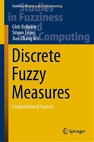 Gle Beliakov, Gleb Beliakov, Simo James, Simon James, Jian-Zhang Wu - Discrete Fuzzy Measures