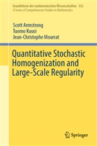 Scot Armstrong, Scott Armstrong, Tuom Kuusi, Tuomo Kuusi, Jean-Christ Mourrat, Jean-Christophe Mourrat - Quantitative Stochastic Homogenization and Large-Scale Regularity