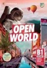 Niamh Humphreys, Niamh Kingsley Humphreys, Susan Kingsley - Open World B1 Preliminary Workbook with Audio Download