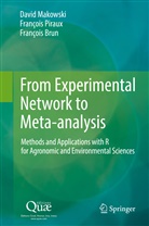 François Brun, Davi Makowski, David Makowski, Françoi Piraux, François Piraux - From Experimental Network to Meta-analysis