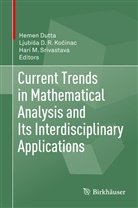 Ljubis D R Kocinac, Ljubisa D R Kocinac, Hemen Dutta, Ljubisa D. R. Kocinac, Ljubiša D. R. Kočinac, Hari M Srivastava... - Current Trends in Mathematical Analysis and Its Interdisciplinary Applications