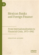 Sebastian Alvarez - Mexican Banks and Foreign Finance
