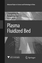 Changmin Du, Changming Du, Ronglian Qiu, Rongliang Qiu, Jujun Ruan - Plasma Fluidized Bed