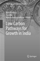 Kuntala Bandyopadhyay, Rajat Kathuria, Sao Ray, Saon Ray - Low Carbon Pathways for Growth in India